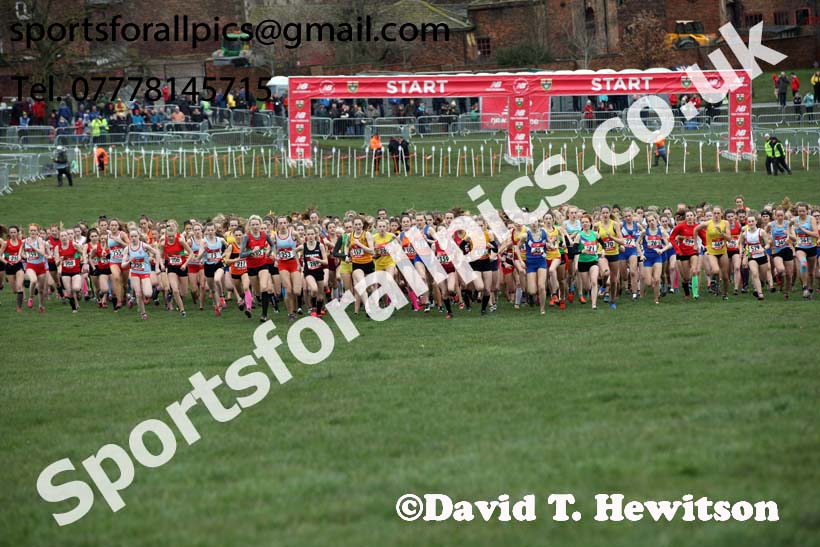 Intermediate girls 2019 New Balance English Schools Cross Country Champs, Temple Newsam, Leeds. Photo:  David T. Hewitson/Sports for All Pics